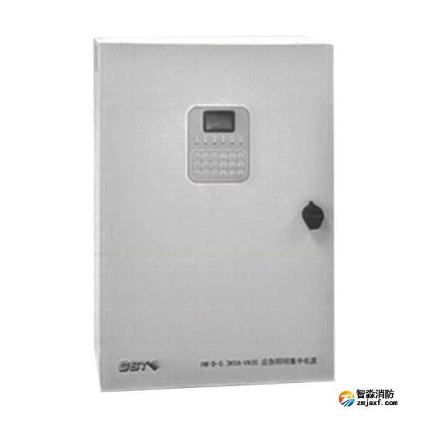 天津海灣HW-D-0.3KVA-VN30應(yīng)急照明集中電源（消防應(yīng)急燈具專用應(yīng)急電源）