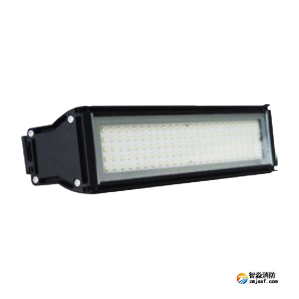 天津海灣HW-ZFJC-E12W-VN762壁掛照明燈